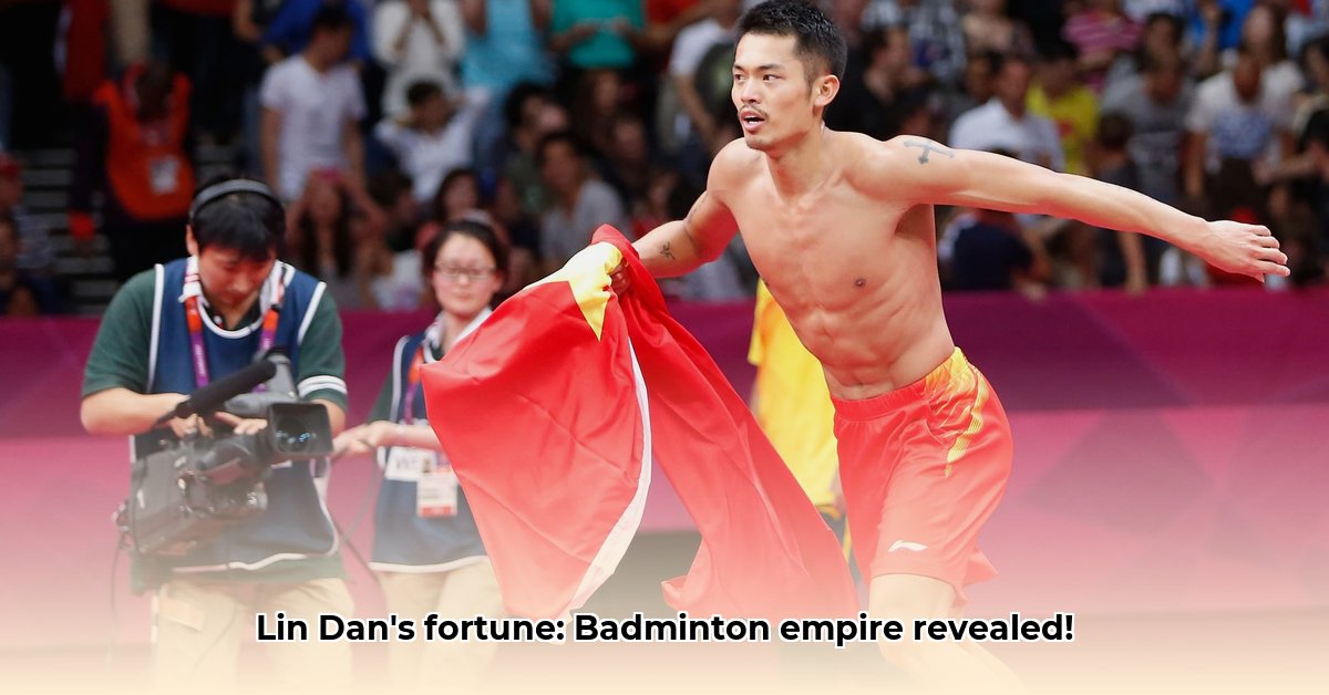 lin-dan-net-worth